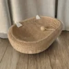 Cat Scratching Board