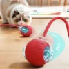 Cat Toy Ball